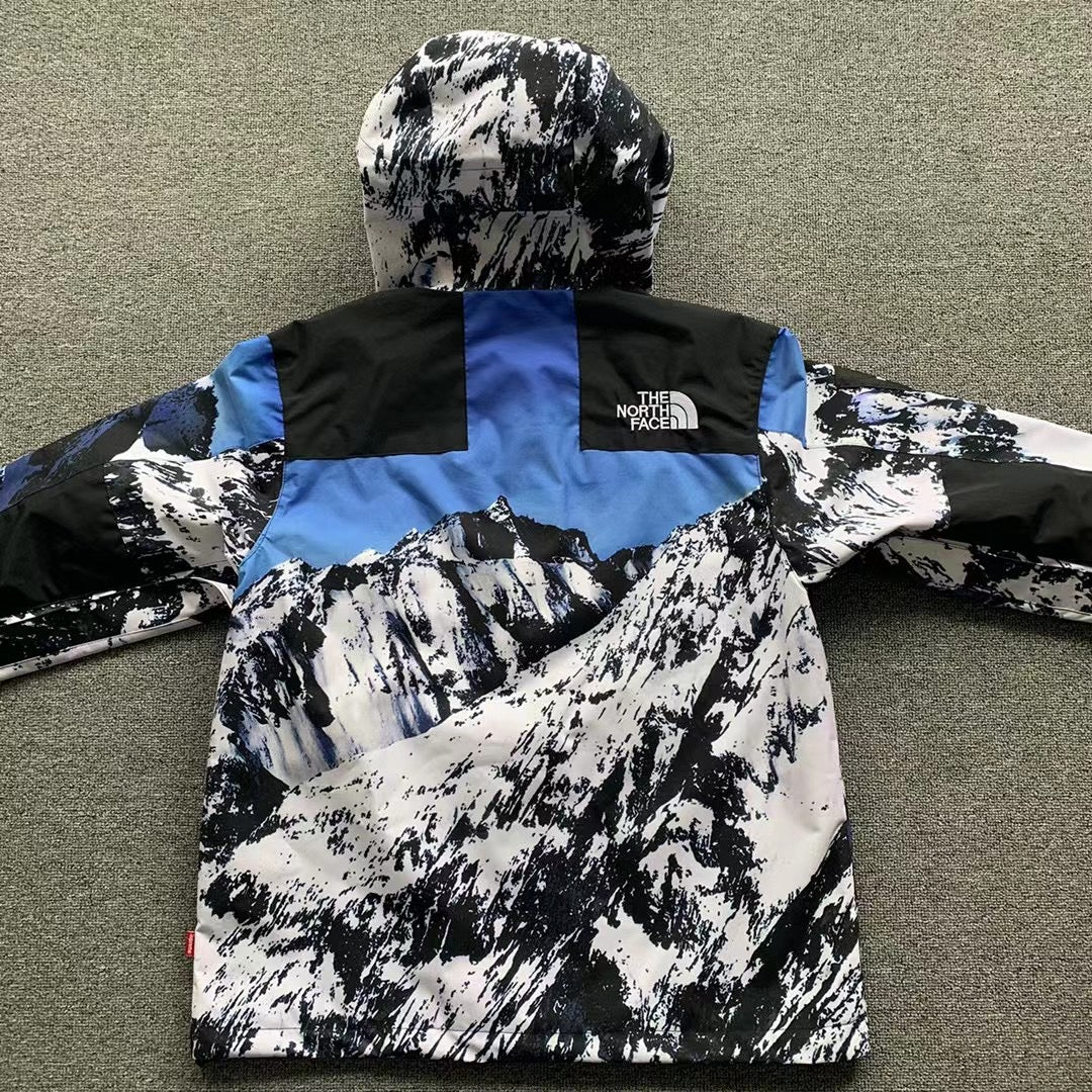 Supreme x The North Face Mountain Parka 'Mountain Print'