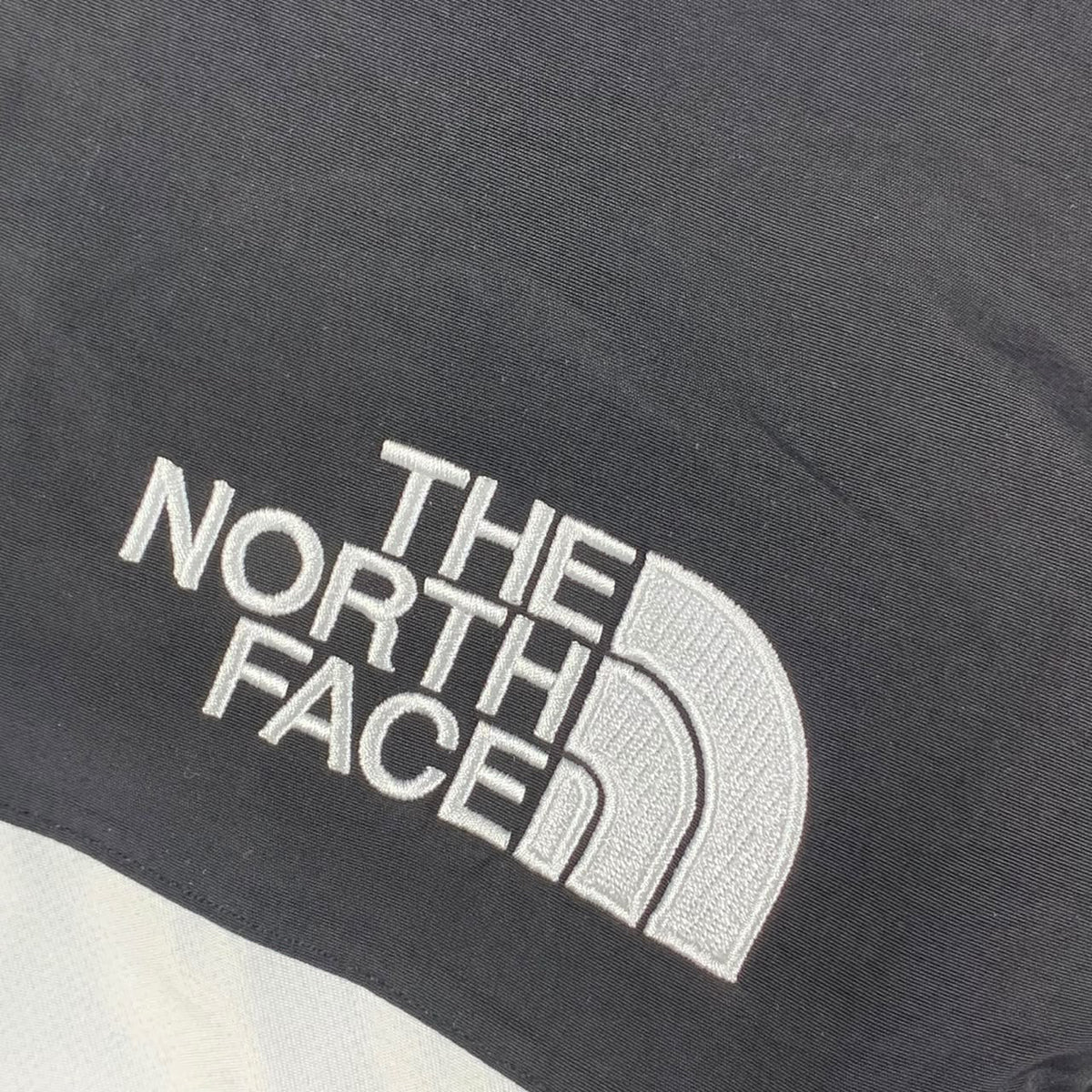 Supreme x The North Face S Logo Mountain Jacket 'Black'